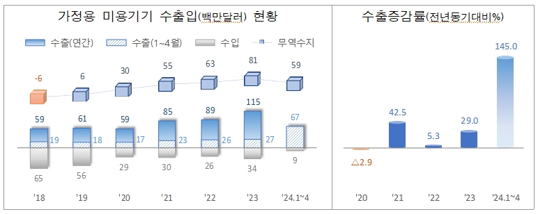 가정용 미용 기기 수출입 현황. /자료=관세청