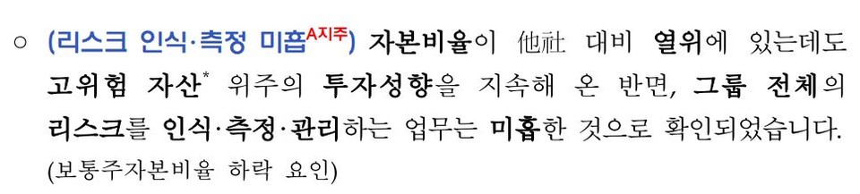자료 4. /출처=금융감독원