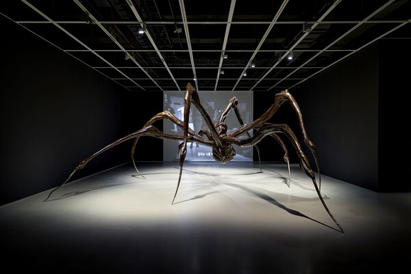웅크린 거미, 2003, 청동, 흑색 광택 패티나, 스테인리스강, 270.5 x 835.7 x 627.4 cm, 사진: 김상태. 호암미술관 제공 ©The Easton Foundation / Licensed by SACK, Korea
