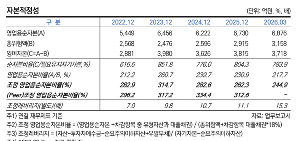 자료 4. /출처=한국신용평가